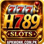 H789.io Game