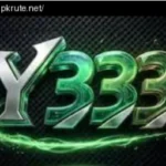 Y333 Game